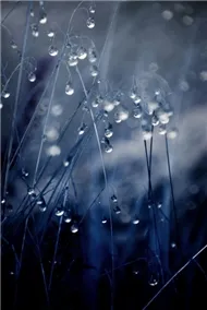 V.A - Em Về Kẻo Trời Mưa