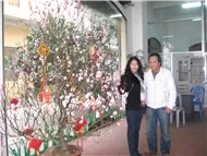 M&ugrave;a Xu&acirc;n