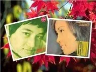 V.A - Những Giọng Ca Vàng (Tân Cổ Giao Duyên)