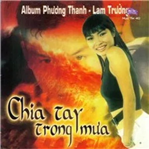 Chia Tay Trong Mưa (Mực Tím 40) - Phương Thanh, Lam Trường