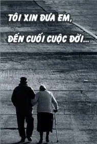 Những bản tình ca trong đêm