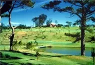 Chút tình yêu Đà Lạt