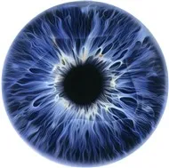 Lời tự sự của Trịnh Công Sơn