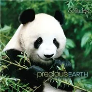 Nghe ca nhạc Precious Earth - Dan Gibson