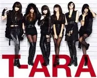 Handsome_T-ara Collection (2012)