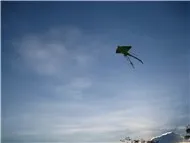 Những Bài Hát Hay Tuyển Chọn