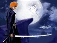 Bleach! Episode 266 ~ 274!