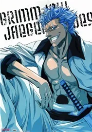 Bleach! Episode 150 ~ 167!