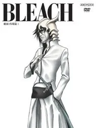 Bleach! Episode 131 ~ 149!