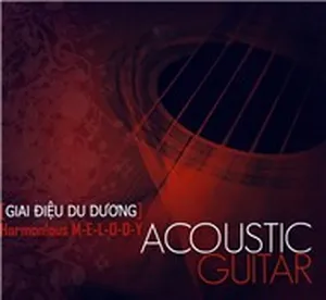 Giai Điệu Du Dương (Acoustic Guitar) - Dũng Đà Lạt