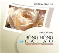 Bông Hồng Cài Áo (Truyện Phật Giáo)