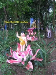 Từng Bước Nở Hoa Sen ( Truyện Phật Giáo )