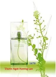 Thơm Ngát Hương Lan ( Truyện Phật Giáo )