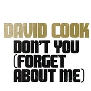 Don't You (Forget About Me) (Single) - David Cook