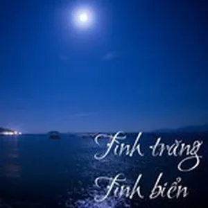 Tình Trăng Tình Biển - V.A