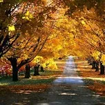 New Age (chọn lọc)