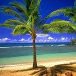 Những ca khúc không lời bất hủ 2.