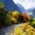 dont want to miss a thing