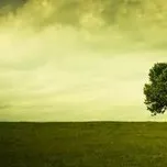 Những Bài Hát Tiếng Anh Hay Nhất !