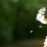 Tổng Hợp Nhạc Không Lời Hay Nhất !