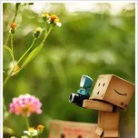 Ca khúc Việt Nam hay