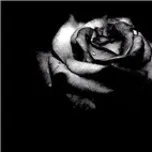 Những Ca Khúc Một Thời...