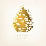 Nghe nhạc Our Youth (LP) - Urban Cone