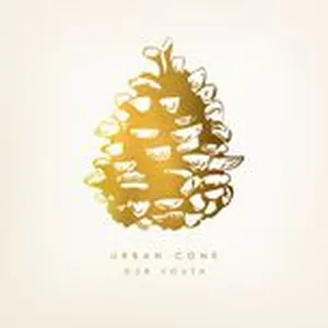 Our Youth (LP) - Urban Cone