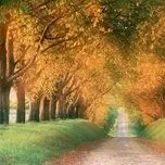 NHẠC CHỦ ĐỀ: MÙA THU