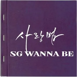 Love Law (Single) - SG Wannabe