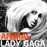 Nghe nhạc Animal (Single) - Lady Gaga