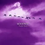 Nghe nhạc Purple Wave - Boohwal