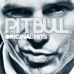 Nghe nhạc Original Hits - Pitbull