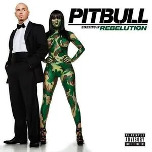 Boy Rebelution - Pitbull