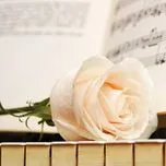 Những Bản Nhạc Không Lời Yêu Thích