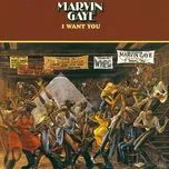 Ca nhạc I Want You - Marvin Gaye