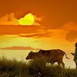 Trữ t&igrave;nh, nhạc v&agrave;ng...