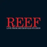 Nghe Ca nhạc Live From Metropolis Studios - Reef