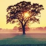 Liên Khúc Nhạc Trữ Tình Tuyển Chọn