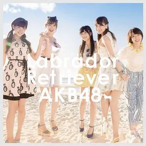 Labrador Retriever (Type B) - AKB48