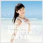 Nghe và tải nhạc Mp3 Labrador Retriever (Type 4)