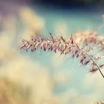 Duc Filan - Kh&ocirc;ng lời