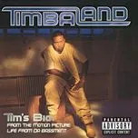 Ca nhạc Tim's Bio - Timbaland, Magoo