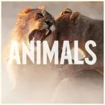 maroon 5 animals video download