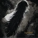 Nghe ca nhạc Liarbird - Ola Kvernberg