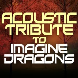 Acoustic Tribute To Imagine Dragons - Guitar Tribute Players