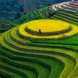 Những Ca Khúc Hát Về Tây Bắc