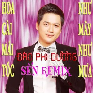 Sến (Remix) - Đào Phi Dương