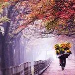 T&igrave;nh kh&uacute;c thu