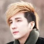 Tuyển Tập Ca Khúc Hay Nhất Của Lâm Chấn Khang